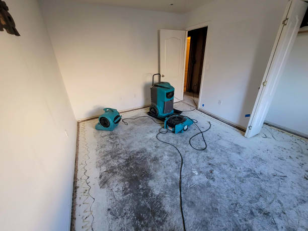 Best Water damage contractors near me  in Powell, WY