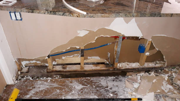 Best Mold removal after water damage  in Powell, WY