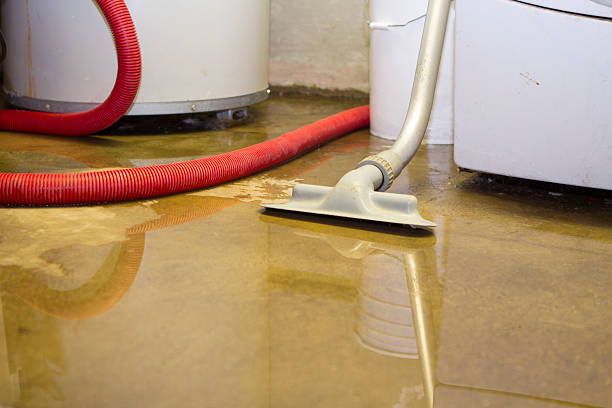 Best Emergency water damage restoration  in Powell, WY