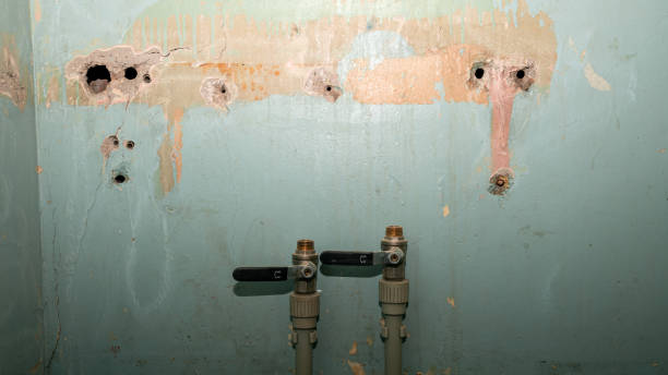 Best Residential water damage restoration  in Powell, WY