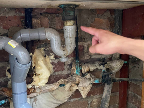Best Professional water damage repair  in Powell, WY