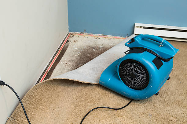 Best Flooded house restoration  in Powell, WY